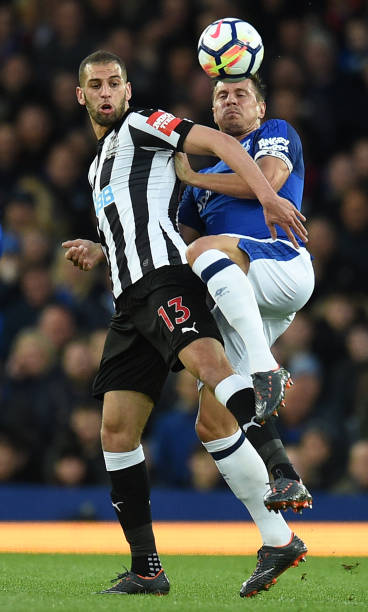 安切洛蒂的 安切洛蒂的